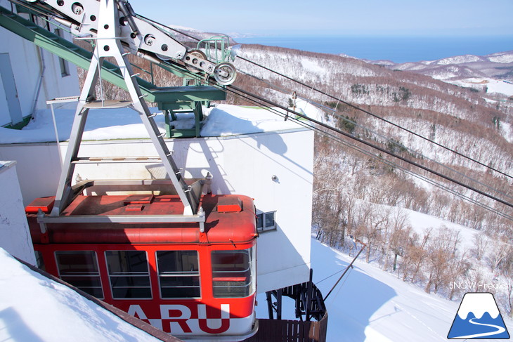 小樽天狗山ロープウェイスキー場 積雪たっぷり！絶景春スキー☆